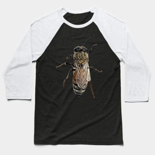 Worker Honey Bee 07 Baseball T-Shirt